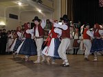 Rok 2005 - Moravský ples (19.2.2005) (01.01.2005)